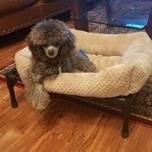 Meet your Posher, Patricia